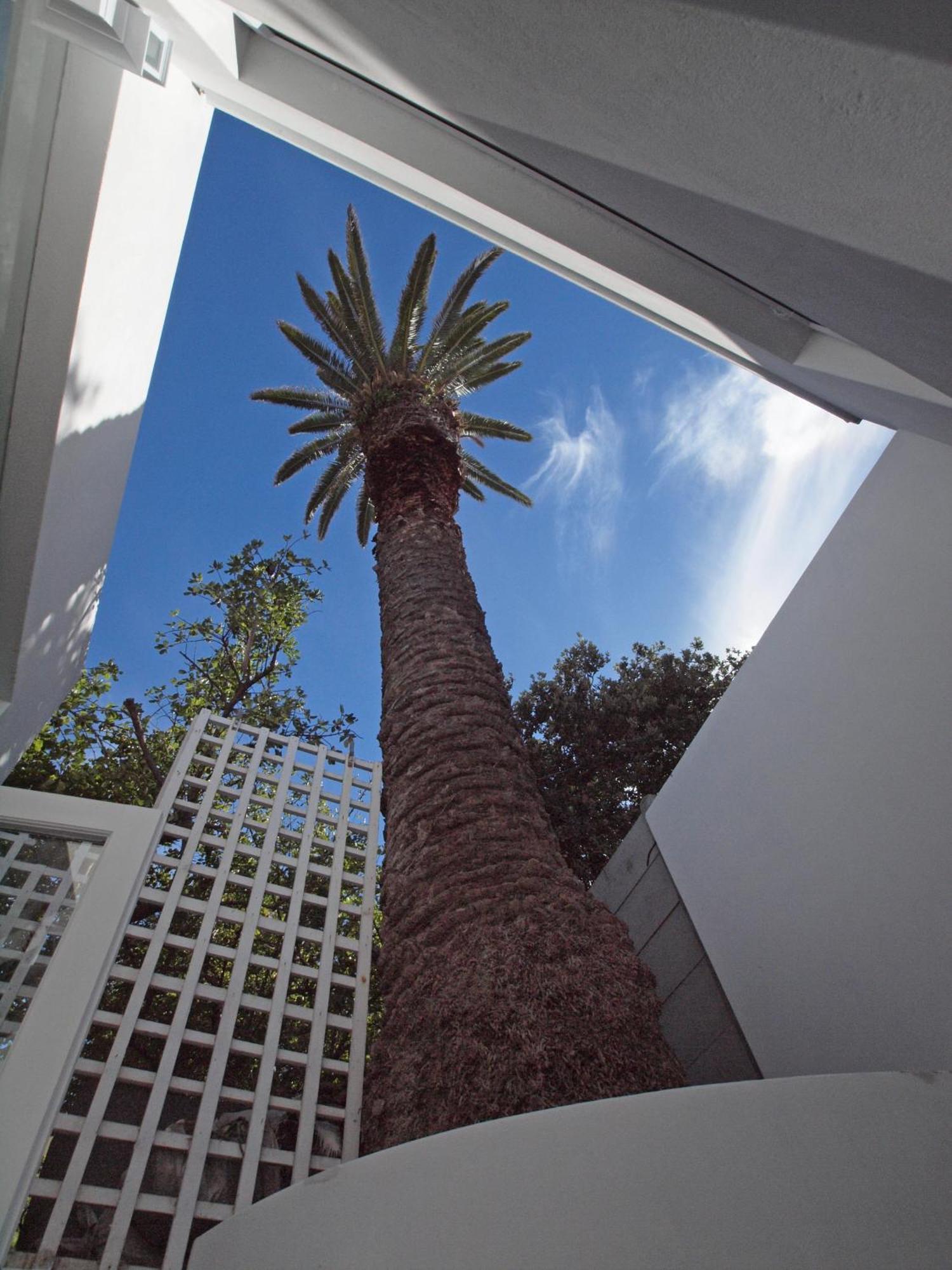 Bella Ev Guest House Muizenberg Kültér fotó